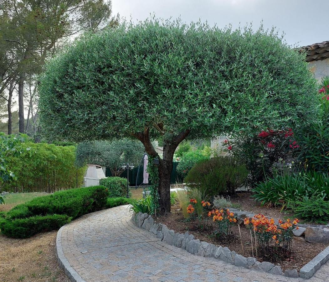 Gite Les Pins Climatise Piscine Chauffee Jardin Peymeinade Dış mekan fotoğraf