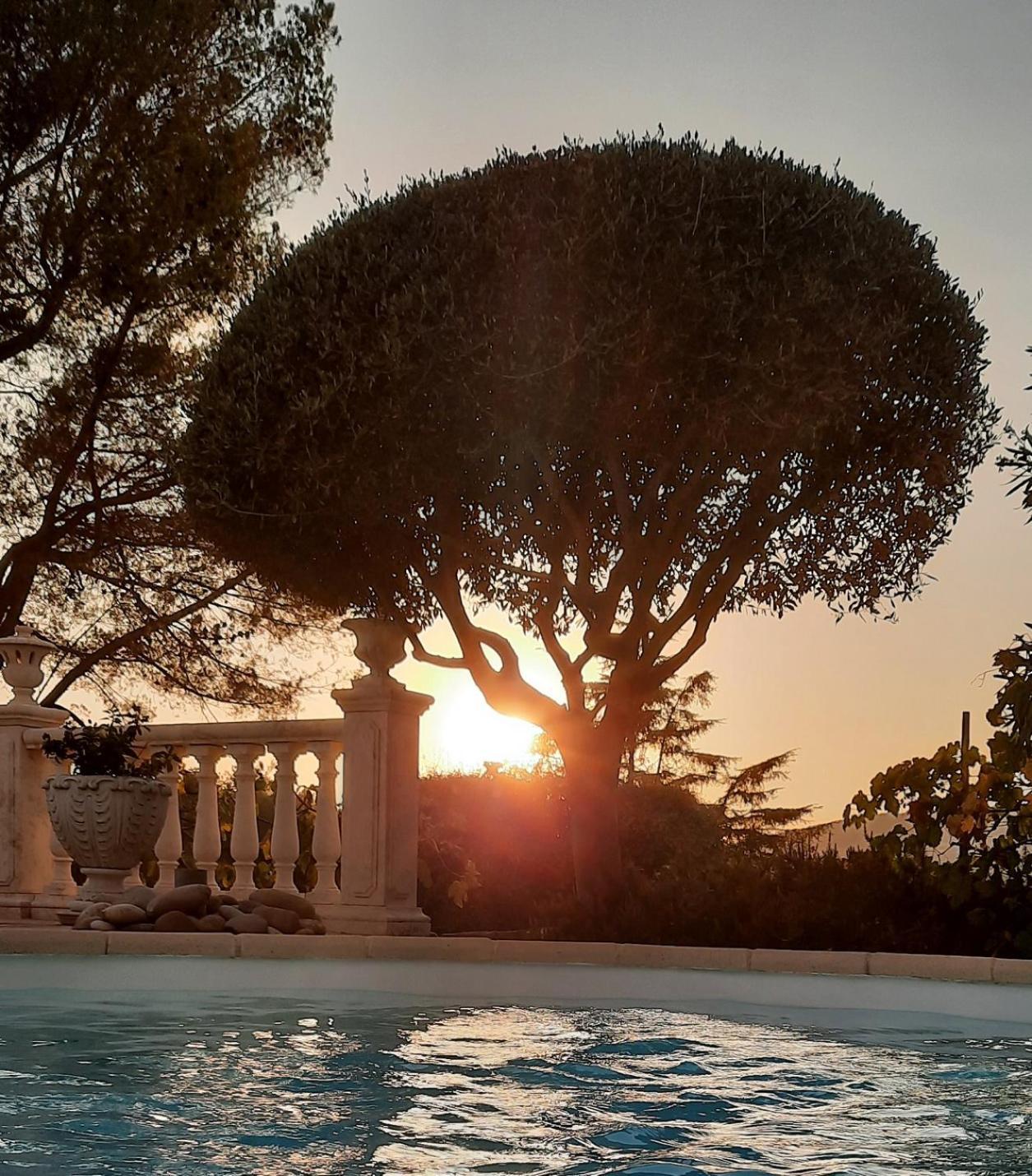 Gite Les Pins Climatise Piscine Chauffee Jardin Peymeinade Dış mekan fotoğraf